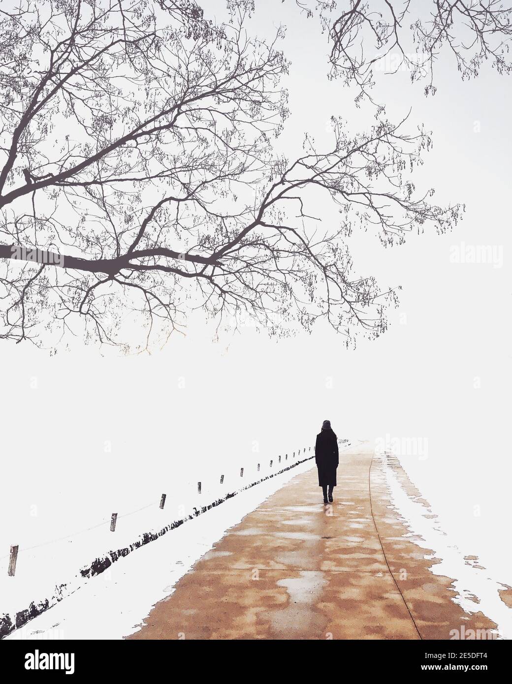 Rückansicht einer Frau, die im Schnee einen Pfad entlang läuft, Südkorea Stockfoto