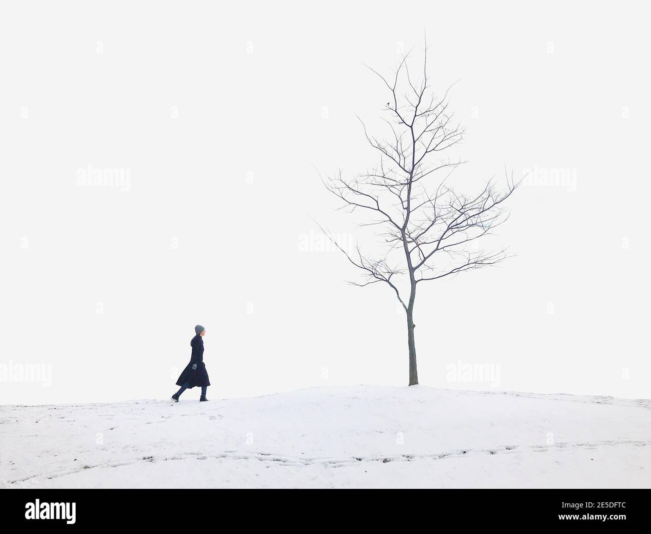 Frau, die auf einen Baum im Schnee zugeht, Südkorea Stockfoto