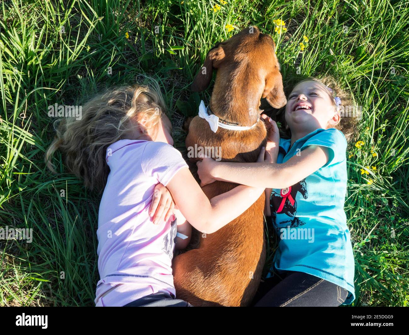 Ansicht von oben von zwei Mädchen, die auf dem Gras liegen und ihren Hund kuscheln, Polen Stockfoto