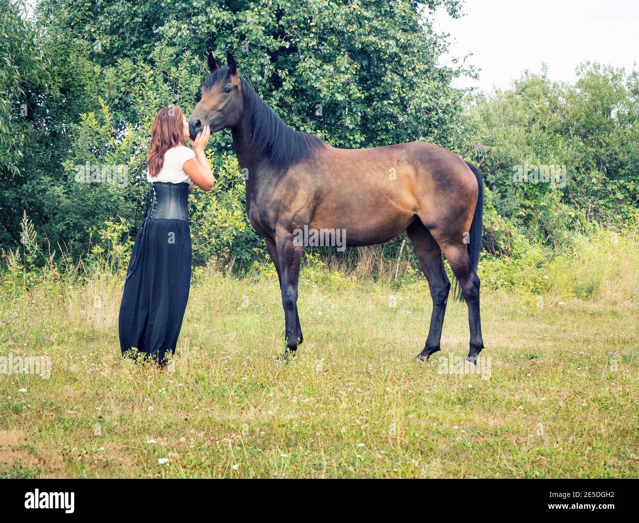 Frau, die auf einem Feld steht und ein Pferd küsst, Polen Stockfoto