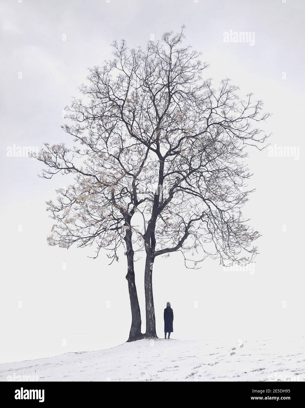 Rückansicht einer Frau, die bei einem einseitigen Baum im Schnee steht, Südkorea Stockfoto