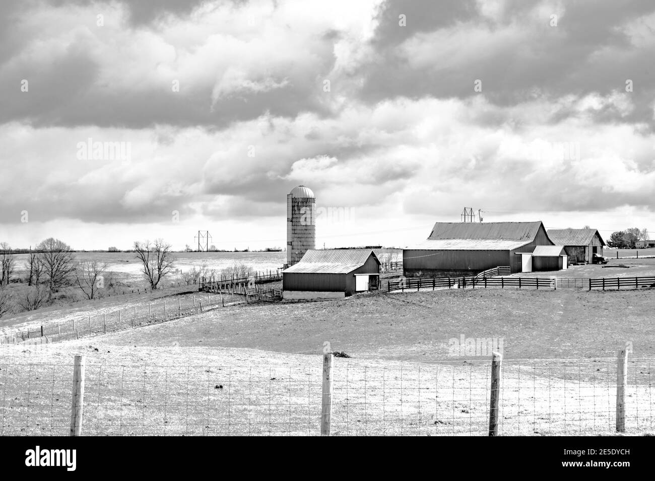 Schwarz-weiß Bild von einer Molkerei in Fleming County Kentucky im Winter Stockfoto