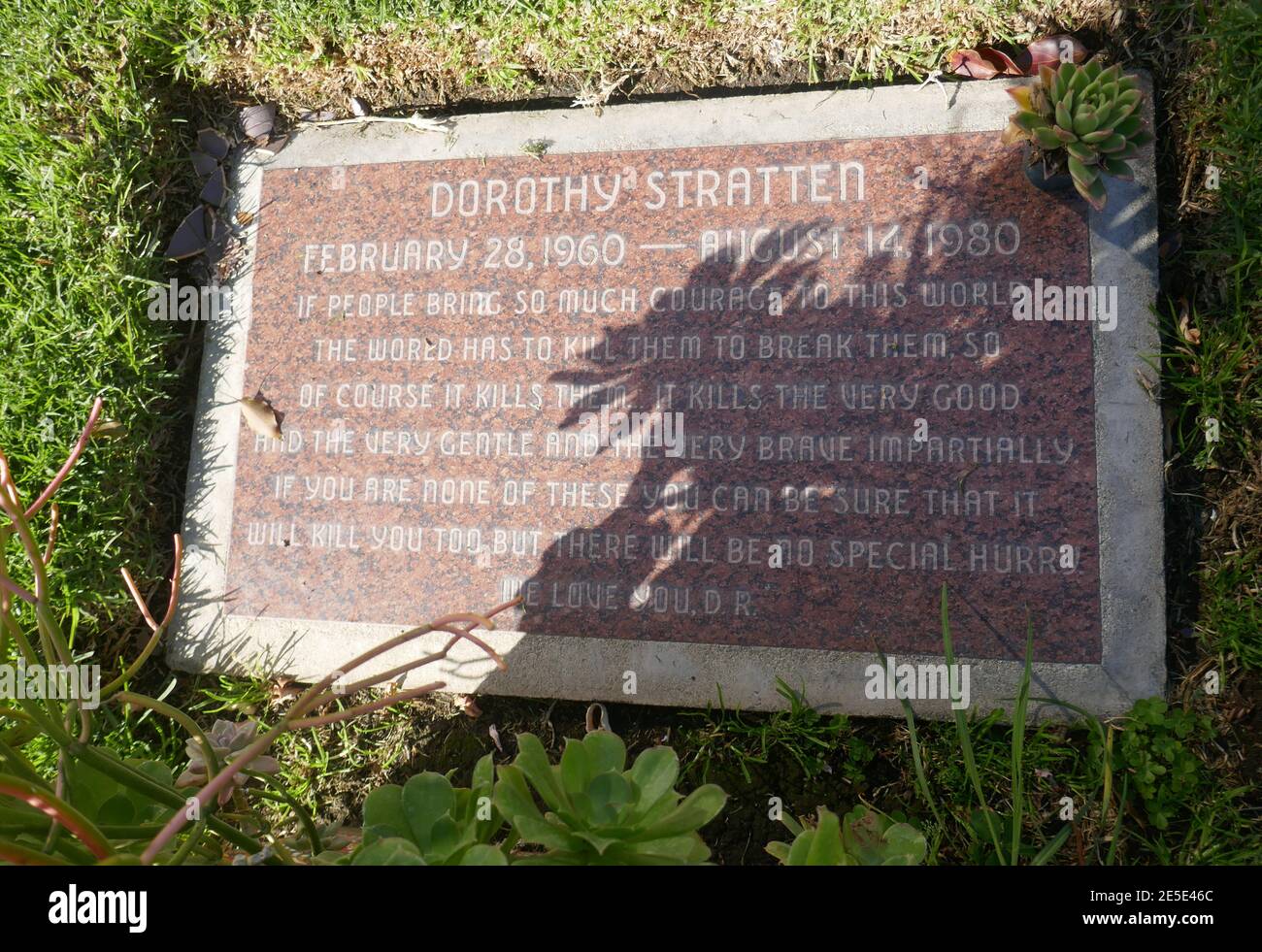 Dorothy stratten Fotos und Bildmaterial in hoher Auflösung Alamy