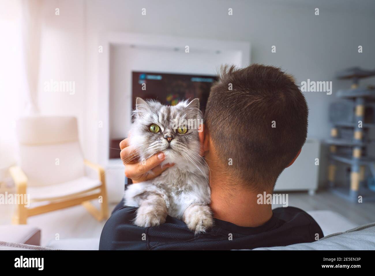 Haustier mit Eigentümer. Junger Mann, der sich mit seiner schönen Katze auf der Schulter im Wohnzimmer ausruhte. Häusliches Leben mit Haustier zu Hause. Stockfoto