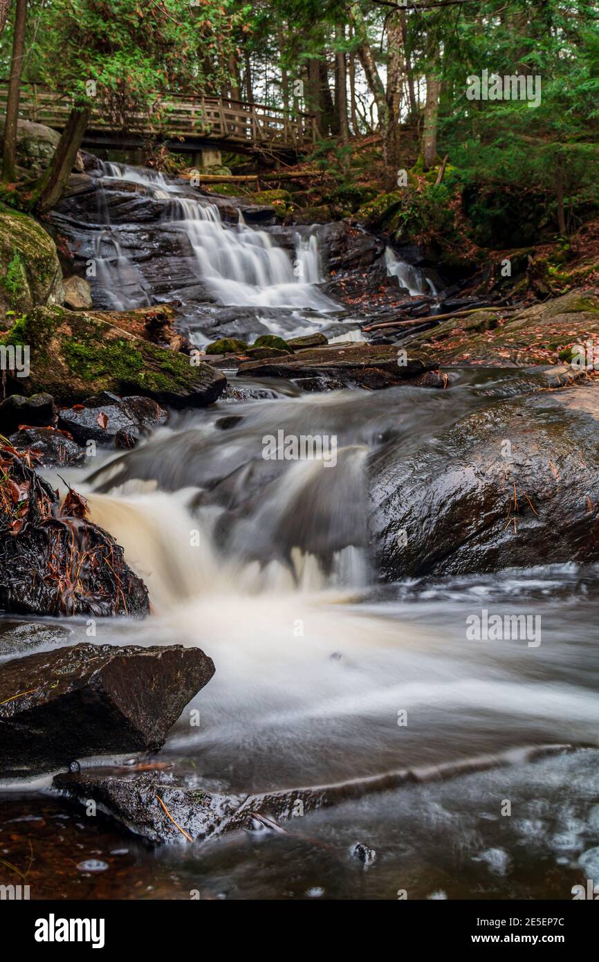 Muskoka County Conservation Area Ontario Kanada Stockfoto