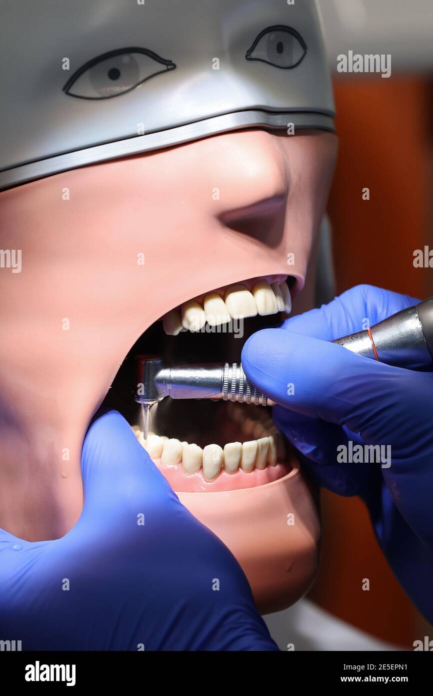 Leipzig, Deutschland. Januar 2021. Dörschner, Zahnärztin an der Universität Leipzig, praktiziert an einem 'Phantom-Patienten'. Sie können nicht lernen, ein Zahnarzt online zu sein. Deshalb sollte die Ausbildung der 274 Zahnmedizinstudenten 'am Patienten' auch in der Corona-Krise möglich bleiben. Die Laborarbeit wurde verkleinert, die Kurse geviertelt und dann halbiert. Hygienekonzepte werden ständig an die Arbeit an echten Patienten angepasst. Schließlich müssen die angehenden Zahnärzte in der Lage sein, sicher eine Füllung zu machen oder eine Krone vorzubereiten. Quelle: Jan Woitas/dpa-Zentralbild/dpa/Alamy Live News Stockfoto