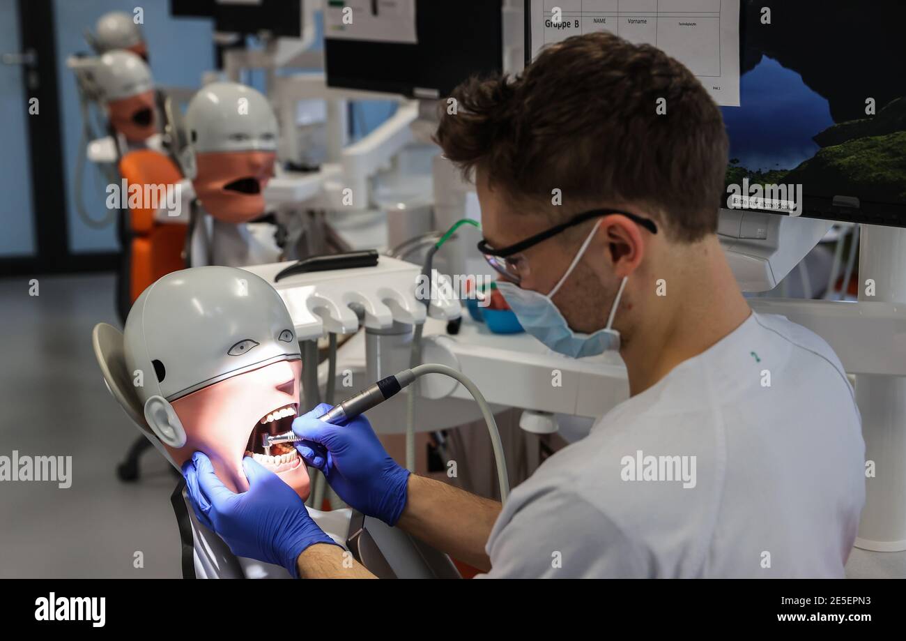 21. Januar 2021, Sachsen, Leipzig: Johann Dörschner, Zahnstudent an der Universität Leipzig, praktiziert an einem "Phantompatienten" neben leeren Nachbarsitzen. Sie können nicht lernen, ein Zahnarzt online zu sein. Deshalb sollte die Ausbildung der 274 Zahnmedizinstudenten 'am Patienten' auch in der Corona-Krise möglich bleiben. Die Laborarbeit wurde verkleinert, die Kurse geviertelt und dann halbiert. Hygienekonzepte werden ständig an die Arbeit an echten Patienten angepasst. Schließlich müssen die angehenden Zahnärzte in der Lage sein, sicher eine Füllung zu machen oder eine Krone vorzubereiten. Foto: Jan Woitas/dpa-Zentralbild/dp Stockfoto