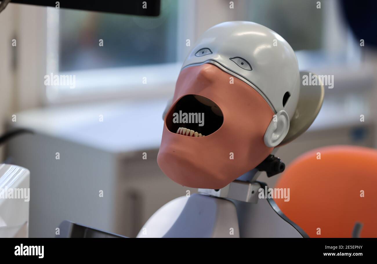 Leipzig, Deutschland. Januar 2021. Ein 'Phantompatient' wartet an der Zahnmedizin der Universität Leipzig. Sie können nicht lernen, ein Zahnarzt online zu sein. Daher sollte die Ausbildung der 274 Zahnmedizinstudenten 'am Patienten' auch in der Corona-Krise möglich bleiben. Die Laborarbeit wurde verkleinert, die Kurse geviertelt und dann halbiert. Hygienekonzepte werden ständig an die Arbeit an echten Patienten angepasst. Schließlich müssen die angehenden Zahnärzte in der Lage sein, sicher eine Füllung zu machen oder eine Krone vorzubereiten. Quelle: Jan Woitas/dpa-Zentralbild/dpa/Alamy Live News Stockfoto