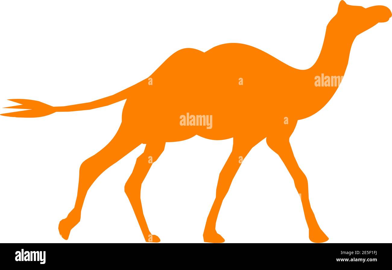 Camel Tier Logo Design Vektor Vorlage Stock Vektor