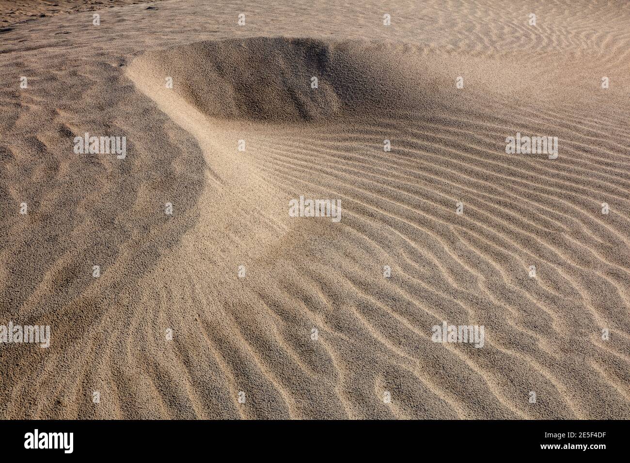 Sandmuster in Farbe, Mesquite Flat Sand Dunes, Death Valley National Park, Kalifornien Stockfoto