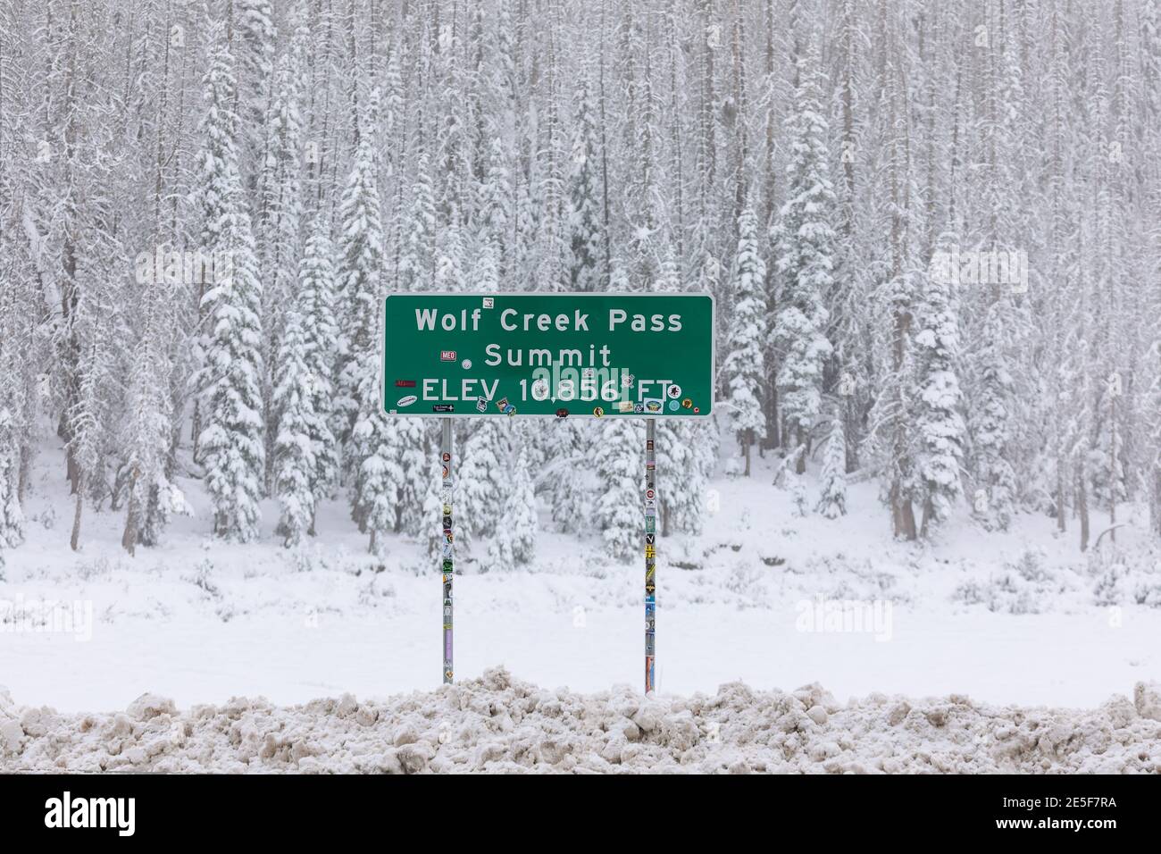 Schneesturm auf dem Gipfel des Wolf Creek Pass, Colorado Stockfoto