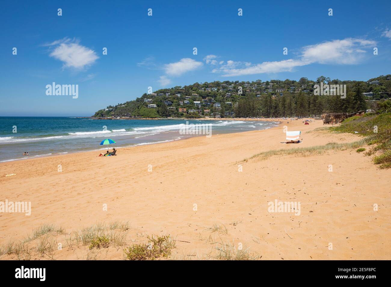 Palm Beach und Menschen genießen Sommertag am Strand, Sydney nördlichen Stränden, NSW, Australien Stockfoto