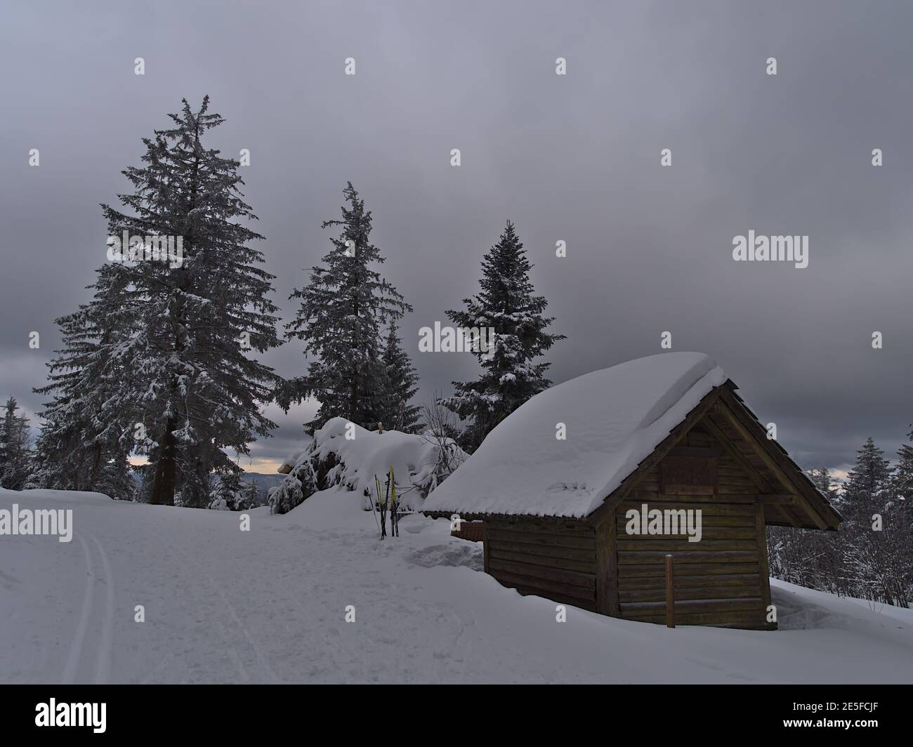 Schöne Winterlandschaft mit Holzschuppen bedeckt von Schnee neben Langlaufloipe und gefrorenen Nadelbäumen im Schwarzwald Berge. Stockfoto