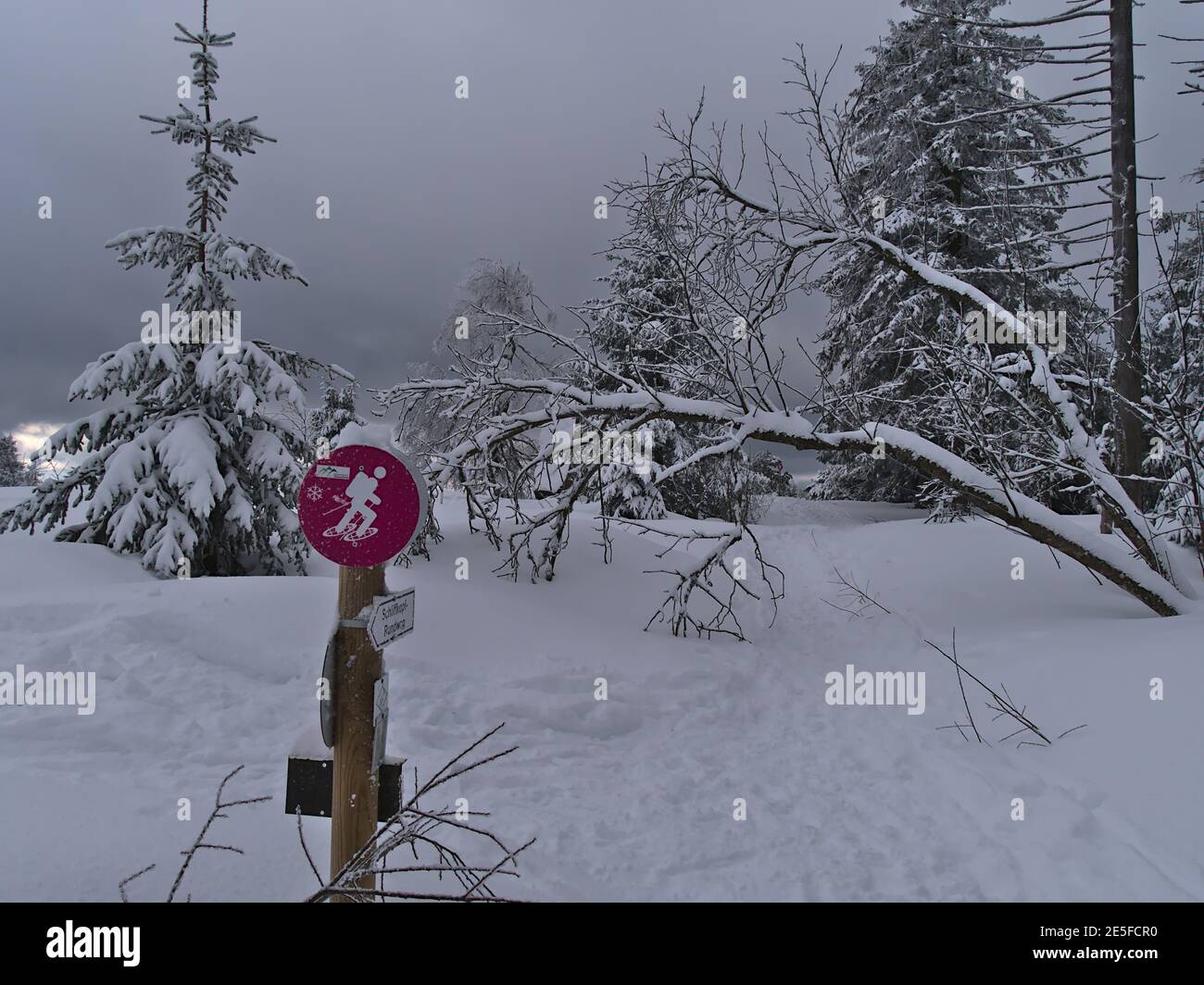 Schneebedeckter Schneeschuhwanderweg mit Fußspuren und Wegmarkierung in ruhiger Winterlandschaft im Schwarzwald mit verdrehtem gefrorenem Baum. Stockfoto