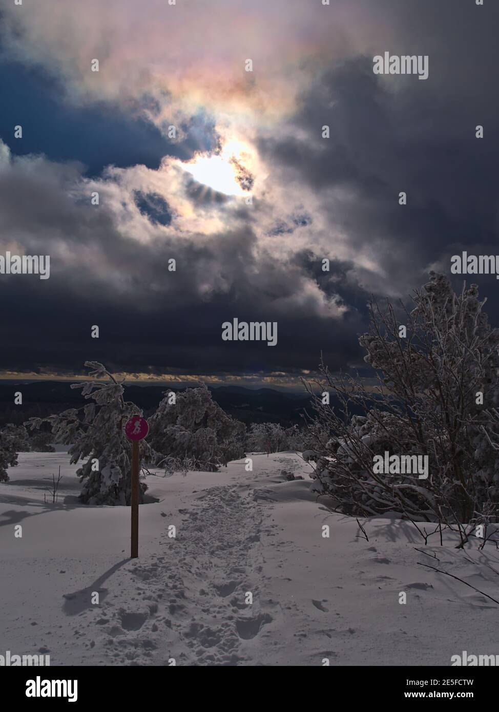 Atemberaubende Winterlandschaft im Schwarzwald Berge mit Schneeschuhwanderweg umgeben von gefrorenen Bäumen und Sonne scheint durch die Wolken. Stockfoto