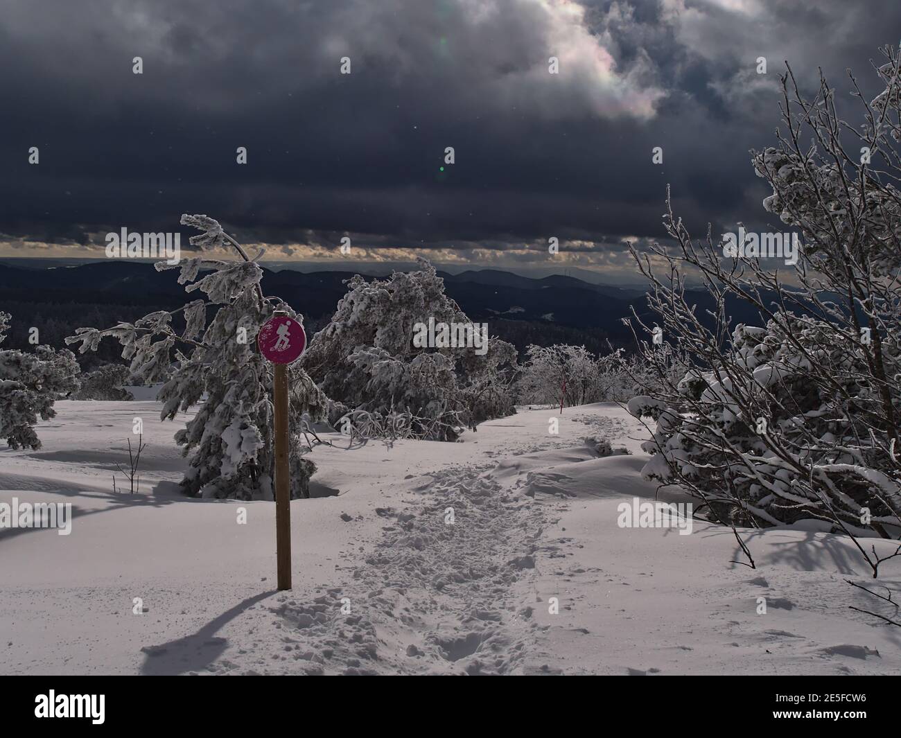 Schöne Winterlandschaft mit Schneeschuhwanderweg, Wegmarkierung Schild und schneebedeckten gefrorenen Bäumen in Schwarzwald Berge mit Schneeflocken. Stockfoto