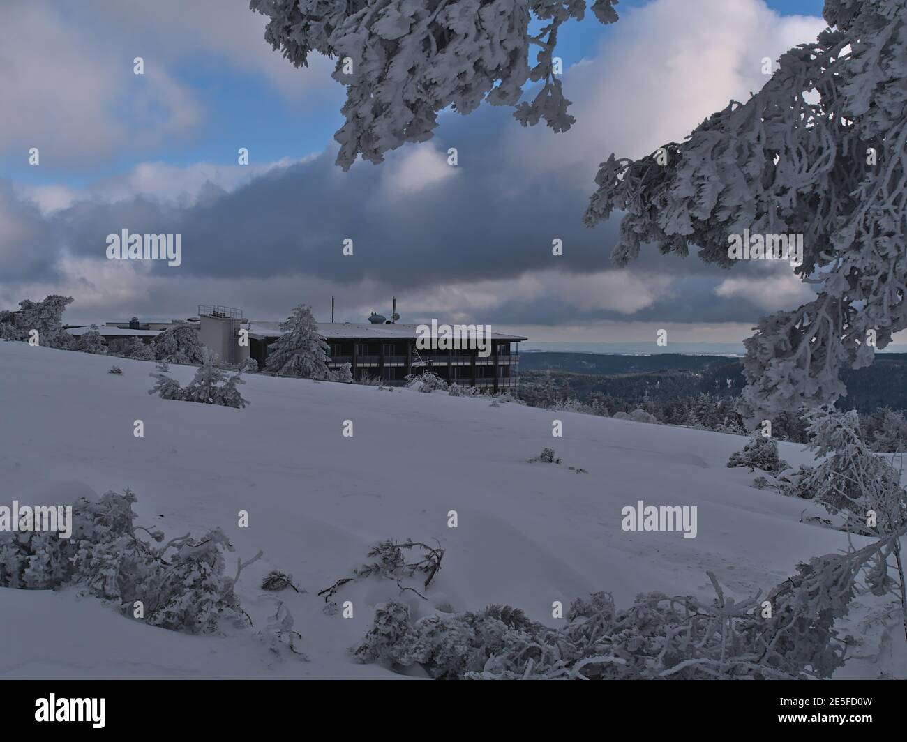 Blick auf das Hotelgebäude am Schliffkopf, Deutschland im Schwarzwald durch die gefrorenen Zweige der Nadelbaum im tiefen Schnee. Stockfoto