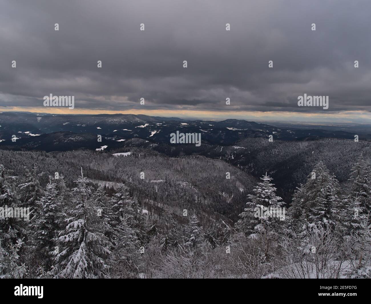 Schöne Panoramasicht auf die Schwarzwälder Berge mit schneebedeckten Nadelbäumen mit Rheintal und Vogesen am Horizont in der Wintersaison. Stockfoto