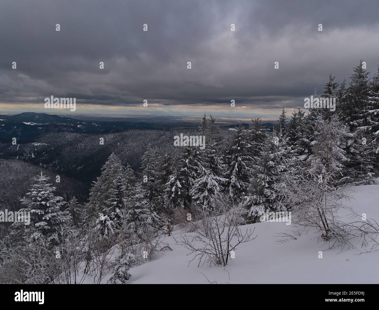 Atemberaubende Winterlandschaft mit gefrorenen Bäumen und Panoramablick über schneebedeckte Schwarzwälder Hügel mit Rheintal und Vogesen Berge. Stockfoto