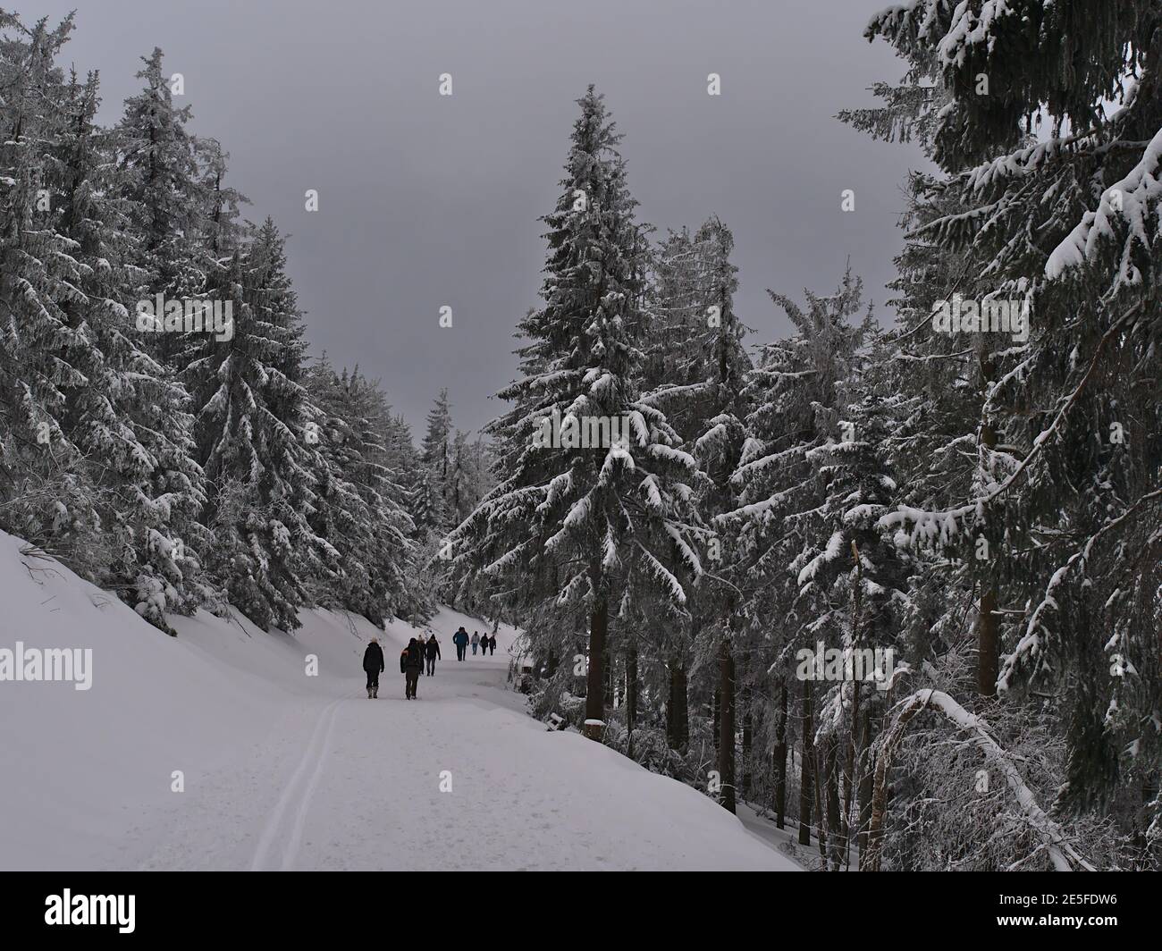 Gruppe von Menschen genießen Winterwanderung in einer wunderschönen Landschaft von schneebedeckten Wald mit gefrorenen Bäumen in der Nähe von Schliffkopf, Deutschland im Schwarzwald. Stockfoto