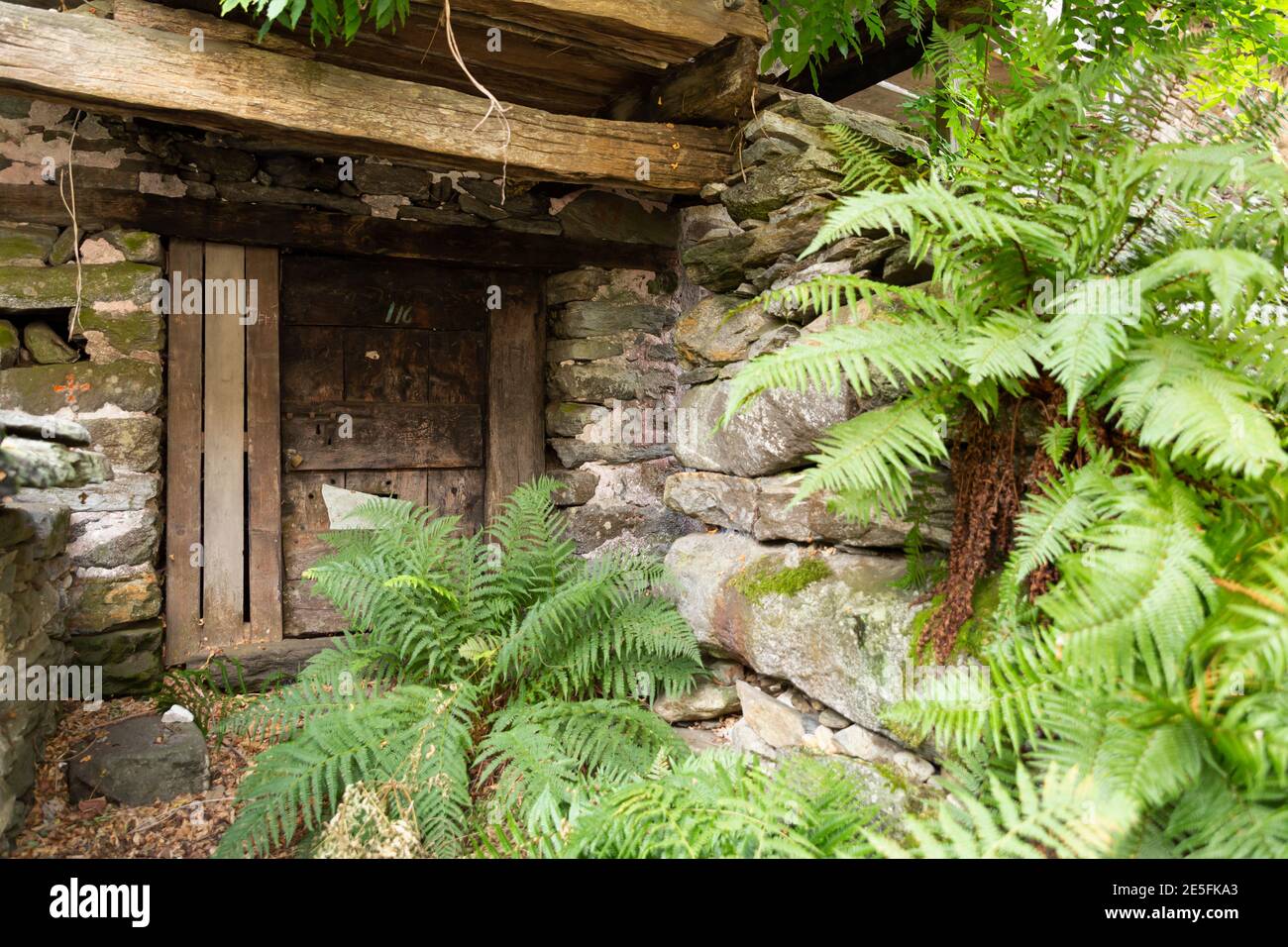 Verfallendes altes Steinhaus mit überwucherten Wänden und massivem Holz Tür Stockfoto