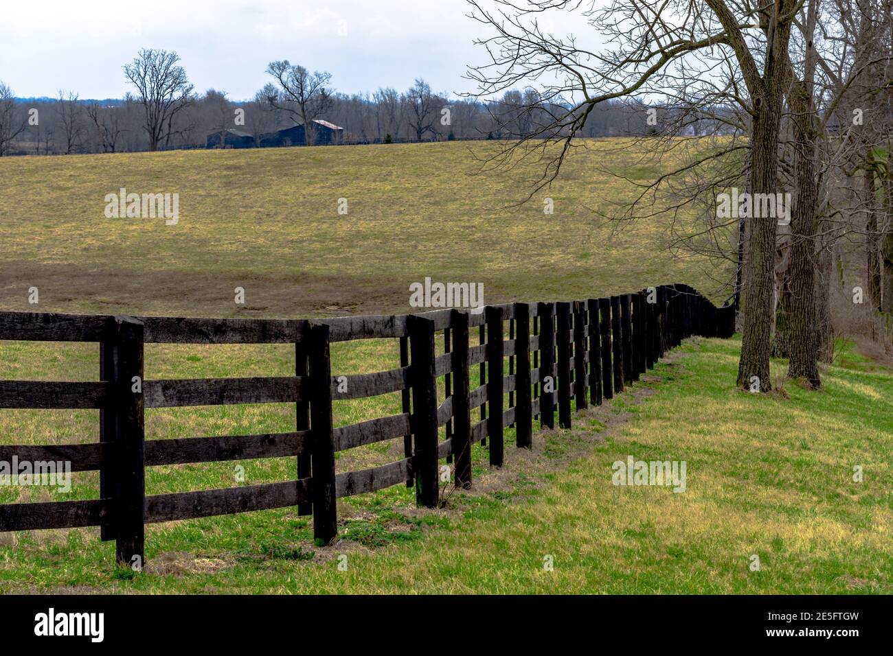 Schwarzes Brett-Zaun an der Grenze einer Pferdeweide in Kentucky im Februar Stockfoto