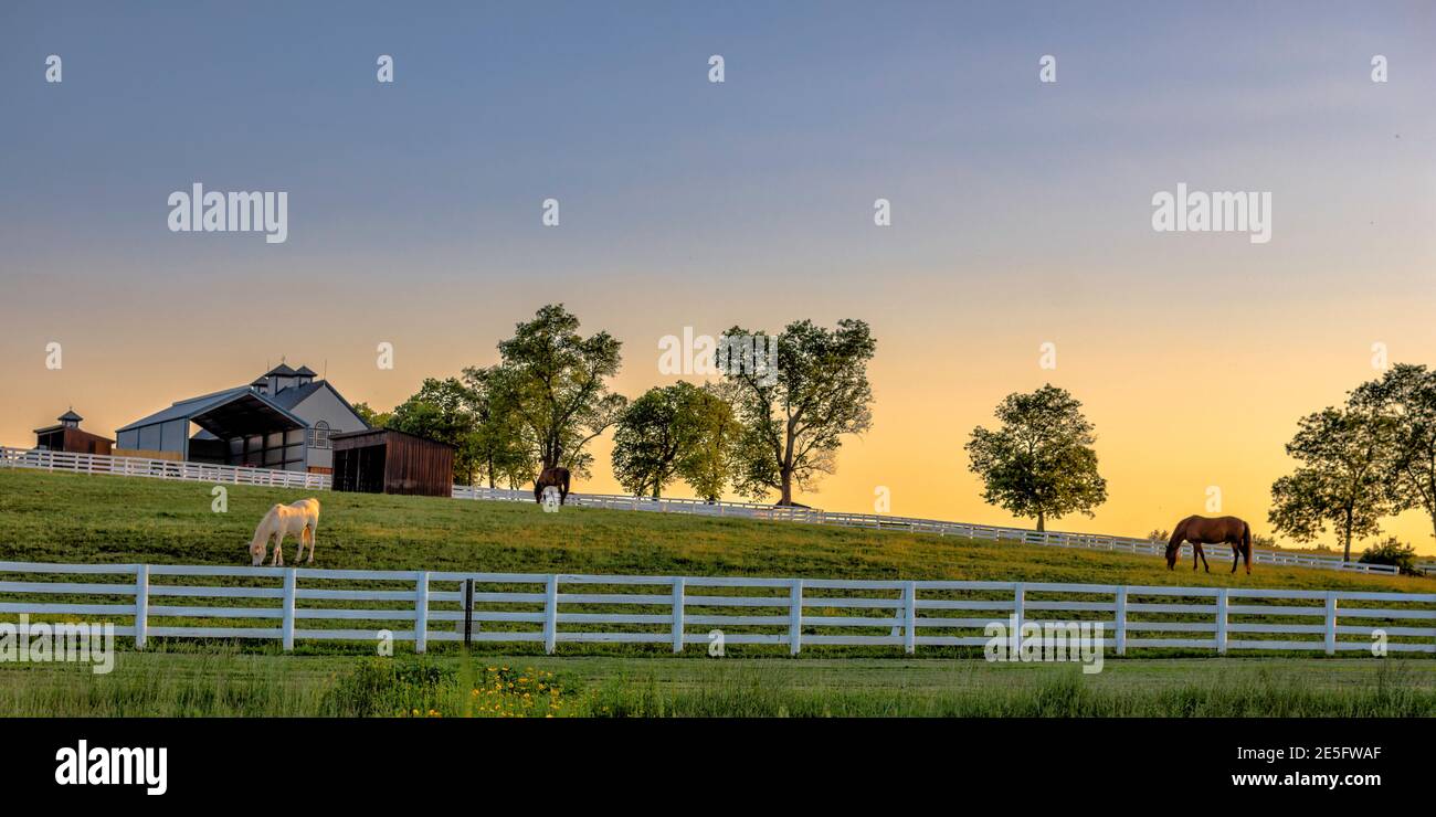 Kentucky Farm bei Sonnenaufgang Stockfoto