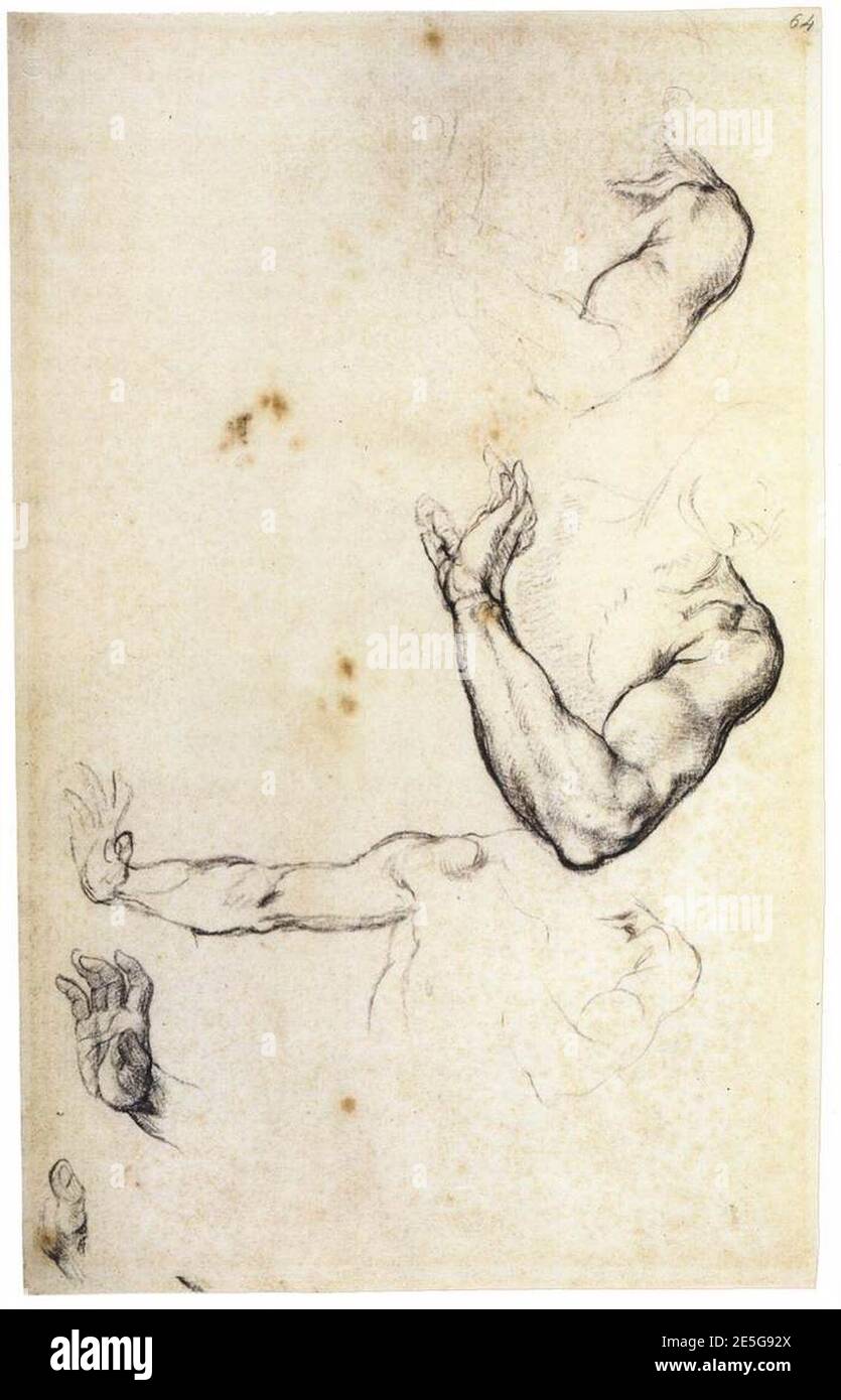 Michelangelo - Studie von Adam, 1508-09. Stockfoto