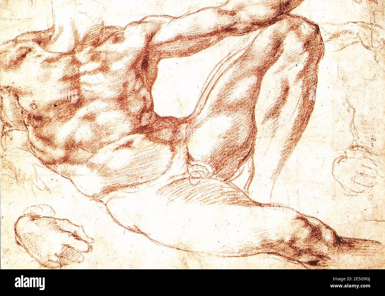 Michelangelo Buonarroti - Studie für Adam - Stockfoto