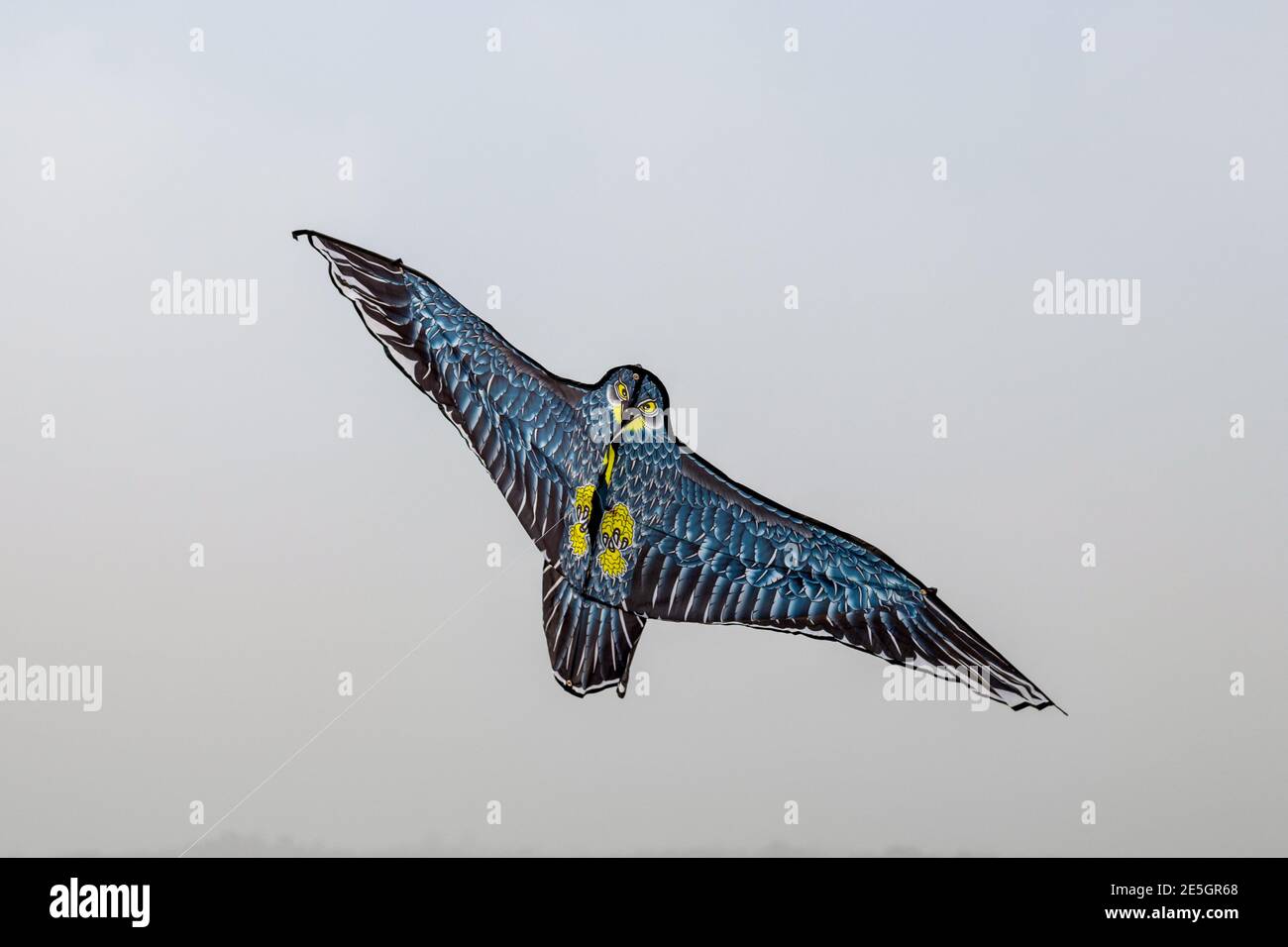 Der Drachen fliegt wie ein Vogel im Blau Nahaufnahme des Himmels Stockfoto Der Drachen fliegt wie ein Vogel im Blau Nahaufnahme des Himmels Stockfoto