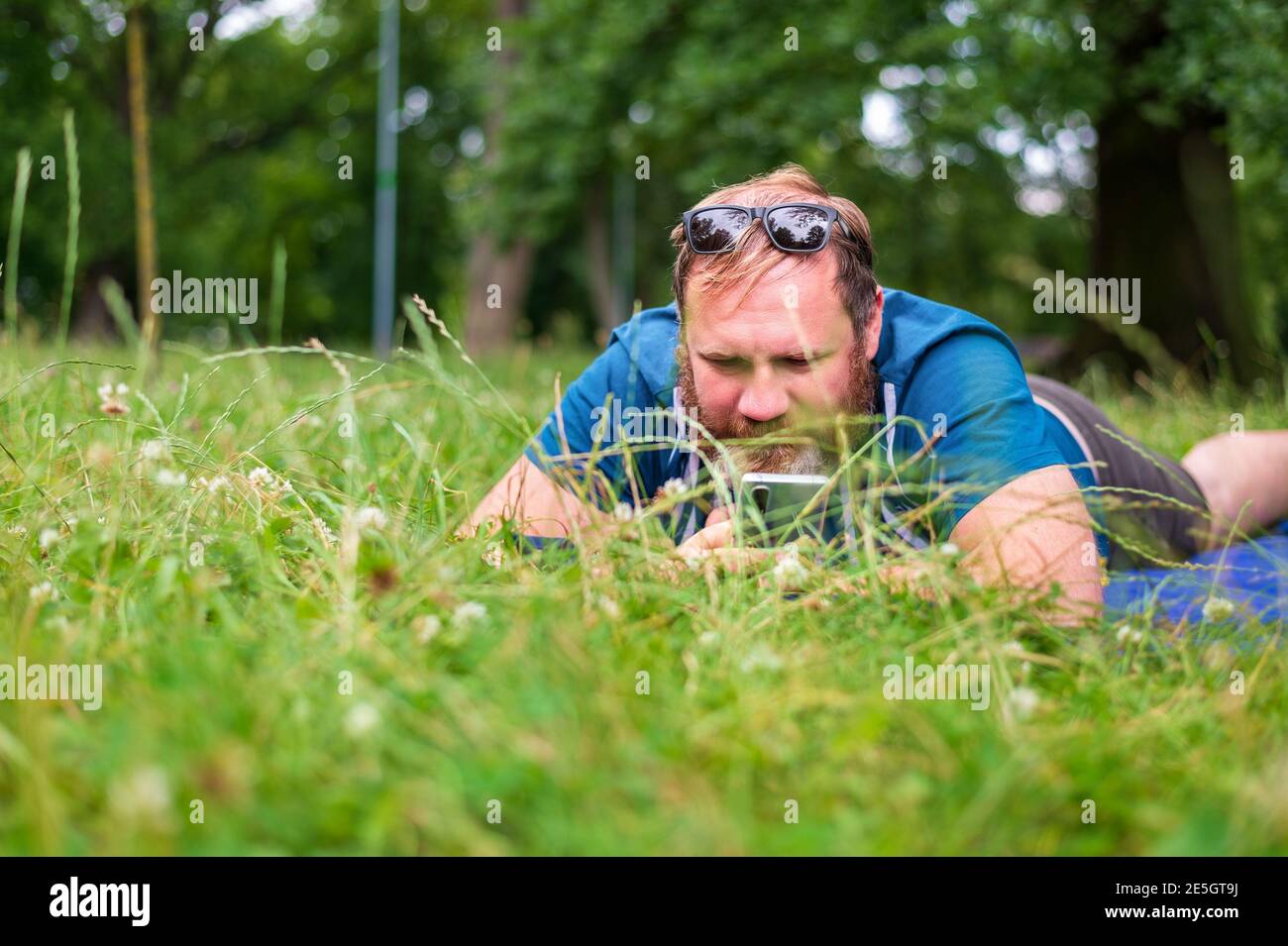 Erwachsener Mann hält Smartphone, während auf grünem Gras in liegen Stadtpark Stockfoto