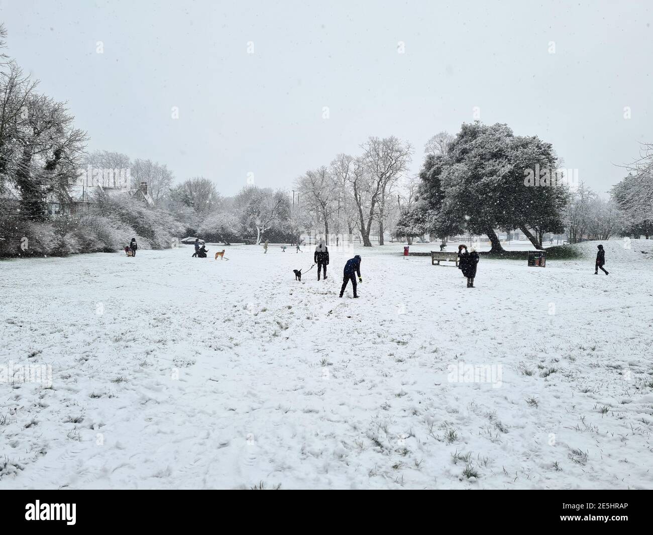 Verschneite Landschaft des Londoner Vorstadtparks Stockfoto