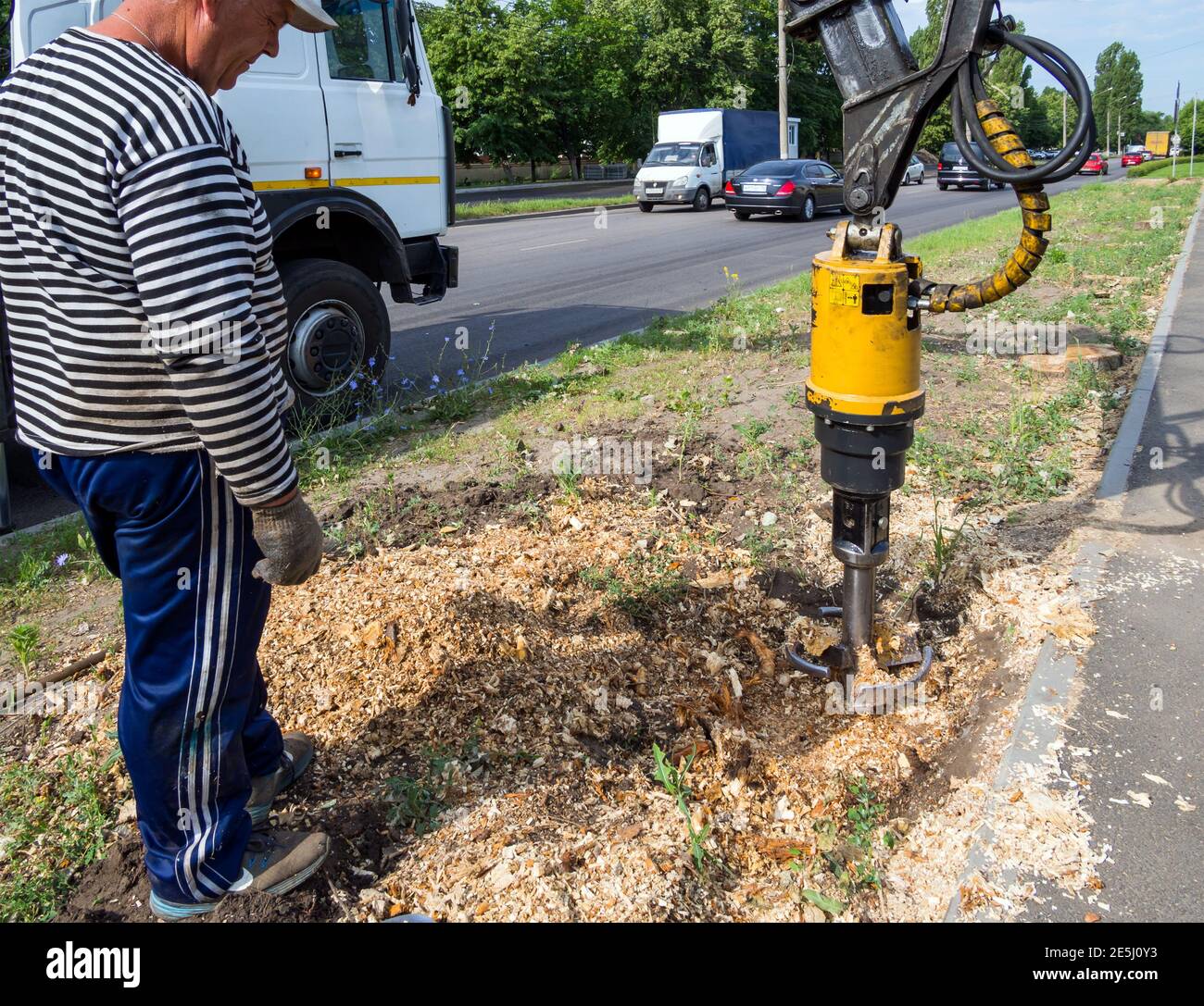 Woronesch, Russland - 22. Juni 2020: Zerstörung eines Baumstumpens mit spezieller Ausrüstung Stockfoto