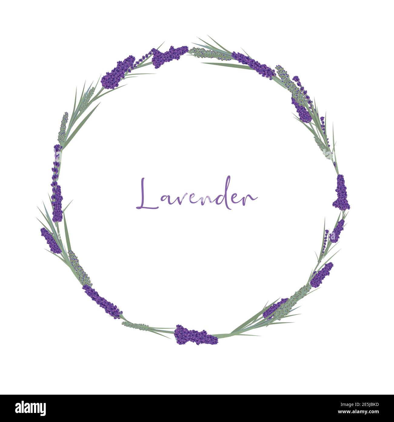 Lavendel Rahmen, Kreis runden Kranz lila Blüten Blätter. vektor Kräuterpflanze Set Stock Vektor