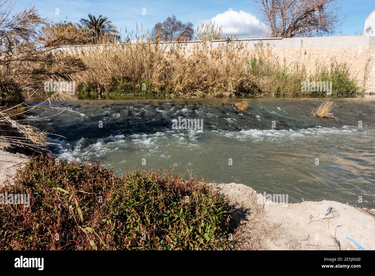 Fluss im winter Stockfoto
