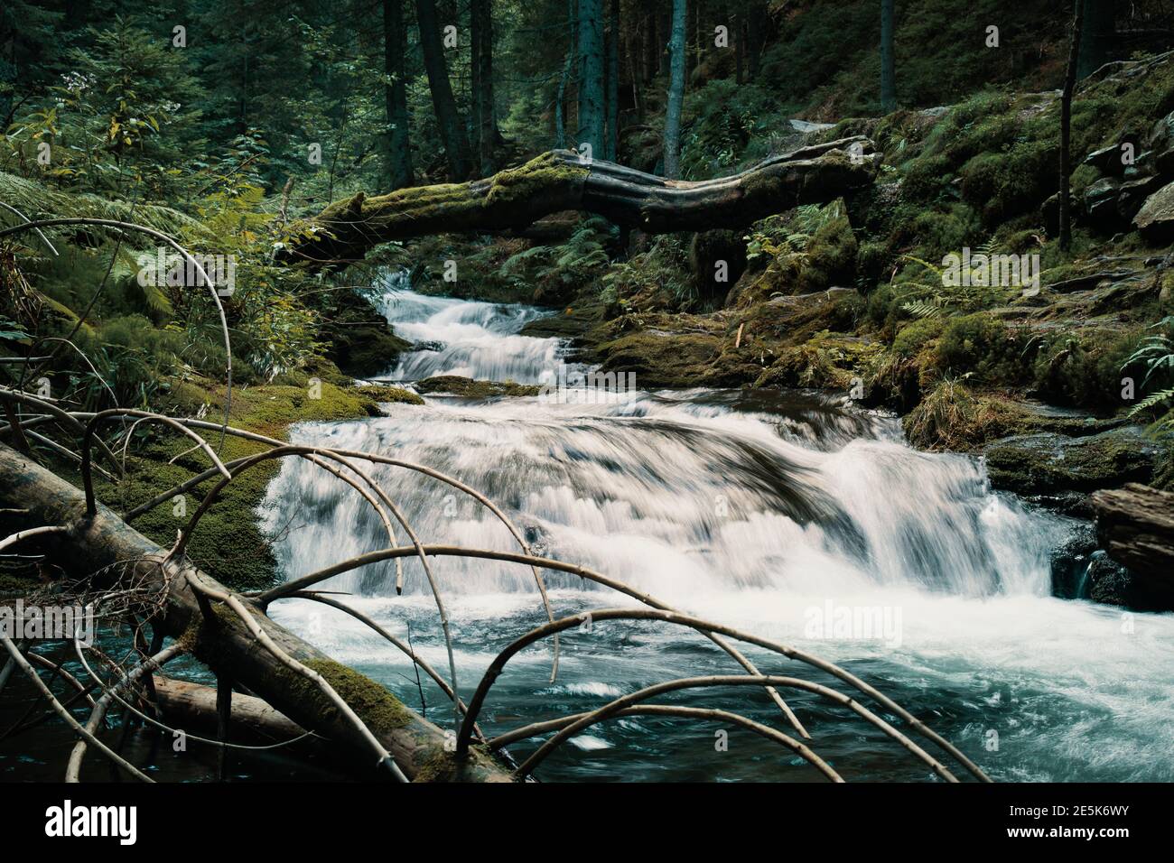 Wildkaskade Fluss in kalten Abend Wald Berg Umgebung. Stockfoto