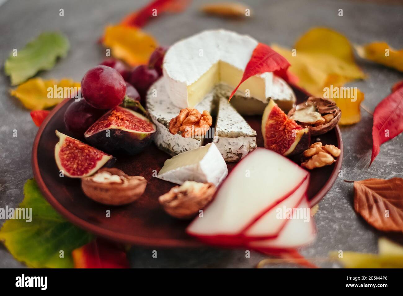 Geschmackmotive und Stimmung. Set von Käse im Herbst Blätter mit Honig, Obst und Kräuter auf dunklen und grauen Stein Hintergrund Stockfoto