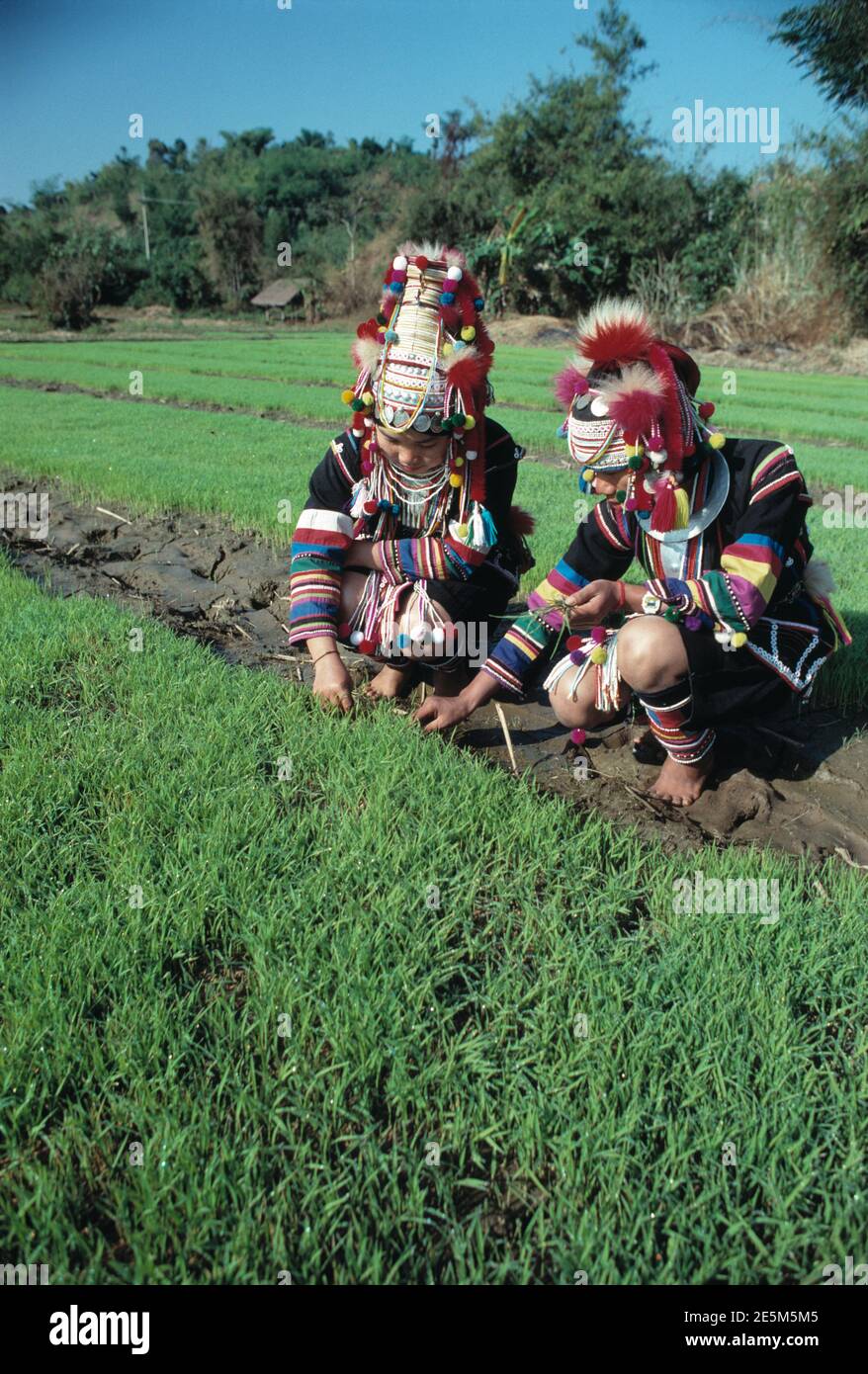 Thailand. Zwei Akha Hill Tribe Frauen bei der Arbeit in den Feldern. Stockfoto