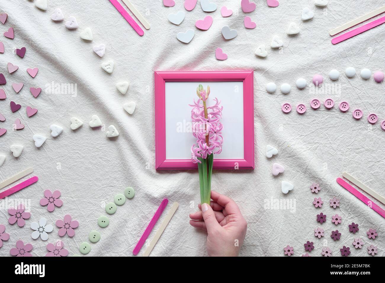 Abstrakter Springtime-Hintergrund. Hand halten rosa Perle Hyazinthe Blume in rosa Bilderrahmen. Flaches Lay mit Herzen, Süßigkeiten, Knöpfen, kleinem Dekor Stockfoto