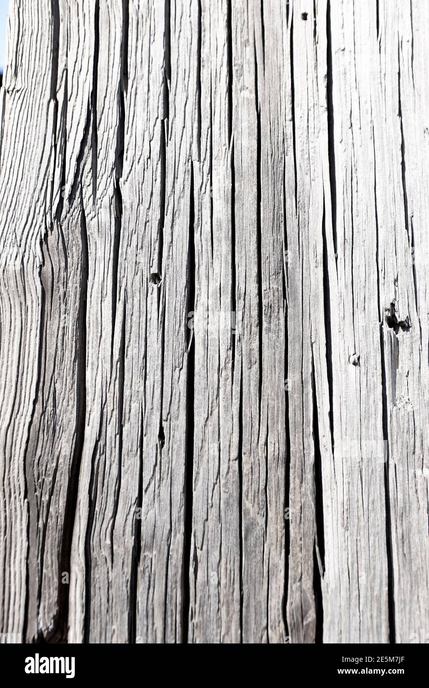 Alte Holzpfosten in Newcastle upon Tyne, Tyneside, Nordostengland, Großbritannien Stockfoto