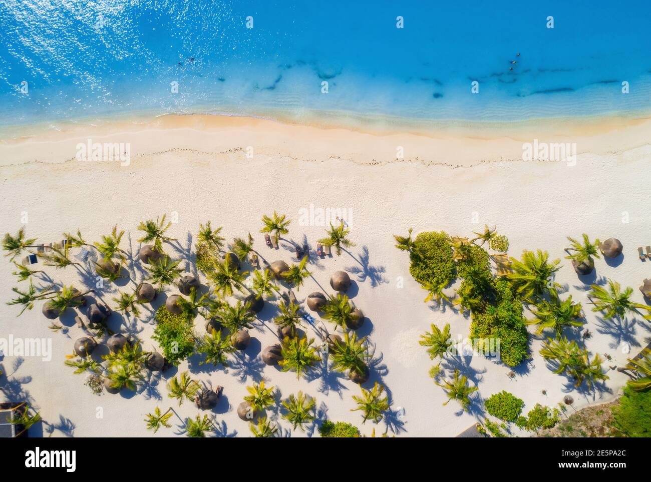 Luftaufnahme von Schirme, grüne Palmen am Sandstrand Stockfoto