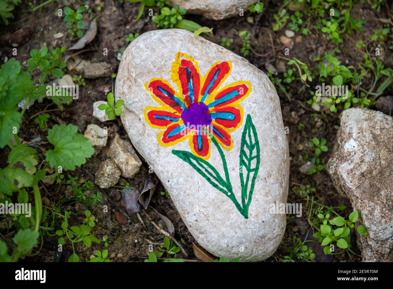 Kieselsteine mit einer bemalten Blume auf dem Hintergrund eines kooperativen und gemeinschaftlichen ökologischen Gartens. Hochwertige Fotos Stockfoto