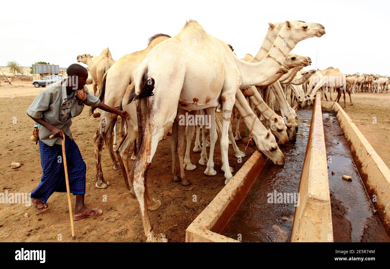 Somali land Fotos und Bildmaterial in hoher Auflösung Alamy
