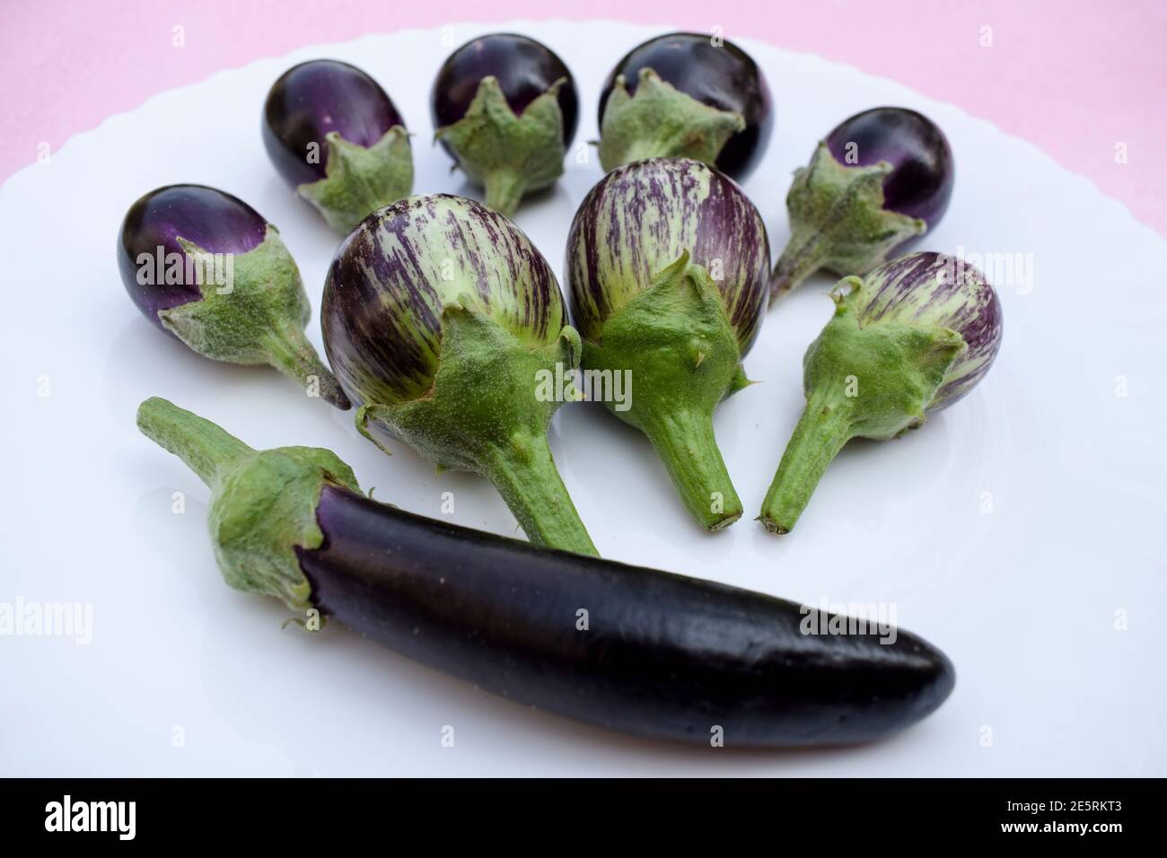 Drei verschiedene Arten von Brinjals auch Auberginen und Auberginen genannt. Dunkelviolett verschiedene Auberginen aus Indien. Frisches indisches vegetab Stockfoto