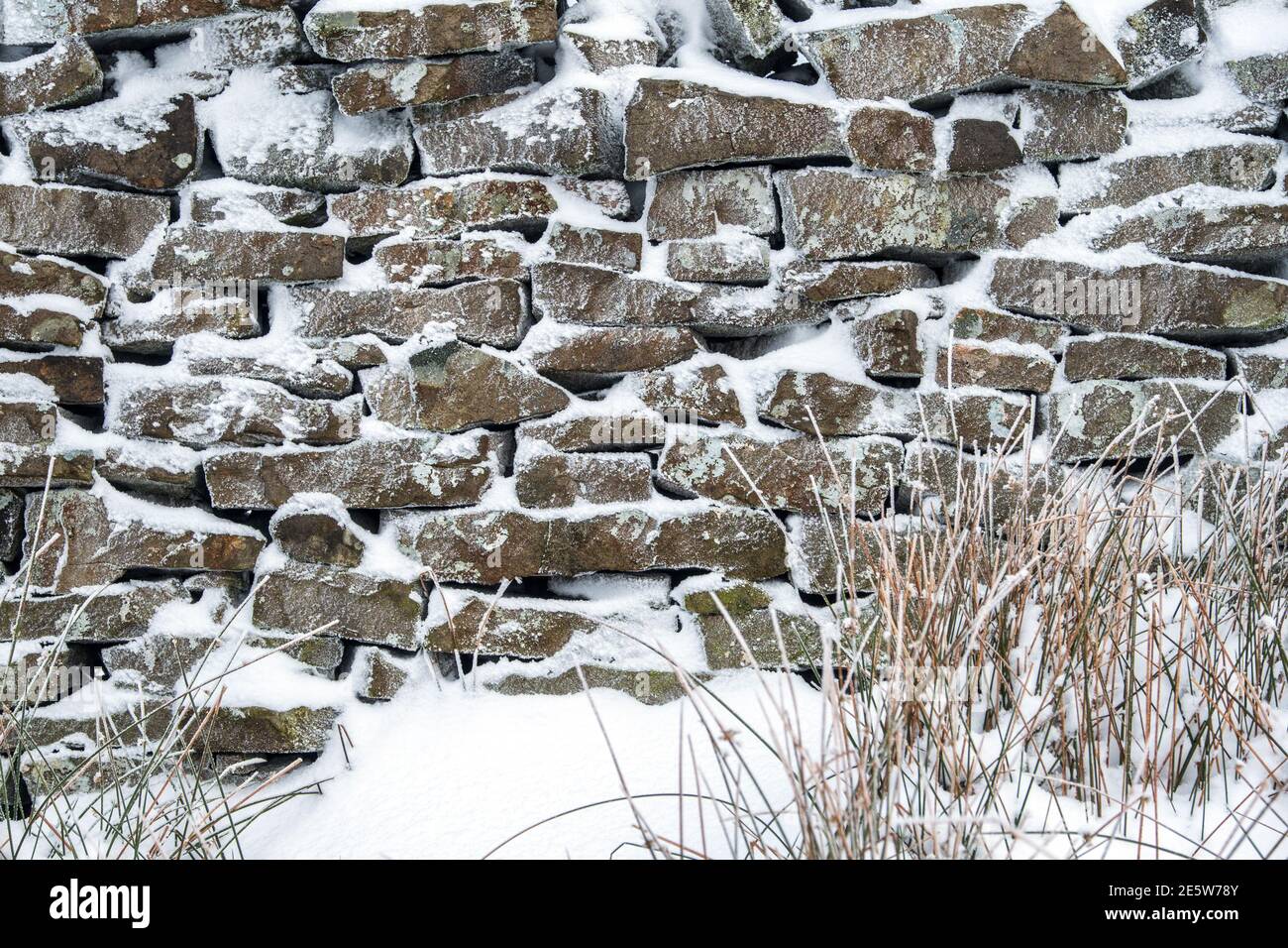 Schnee auf einer Moorlandschaft Trockensteinmauer, AX Edge, Derbyshire, Großbritannien Stockfoto
