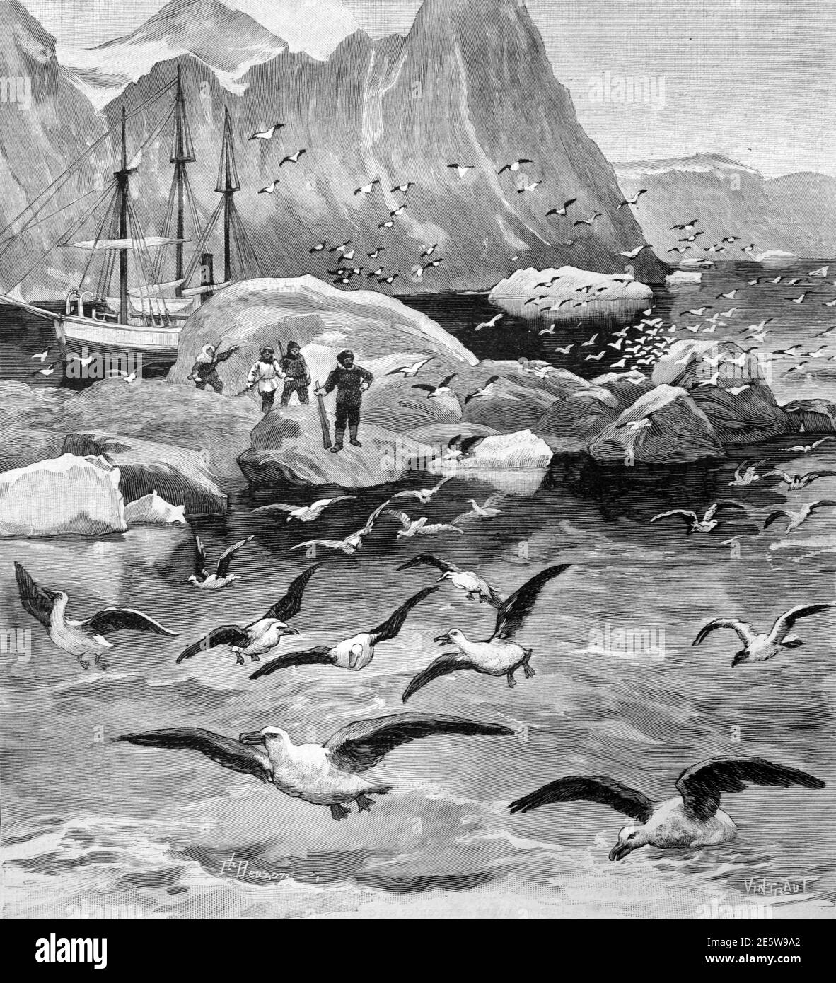 Norwegischer Entdecker Otto Sverdrup während Fram Ship Voyage or Exploration & Colony of Guillemots Foulk Fjord Greenland 1903 Vintage Illustration Oder Gravieren Stockfoto