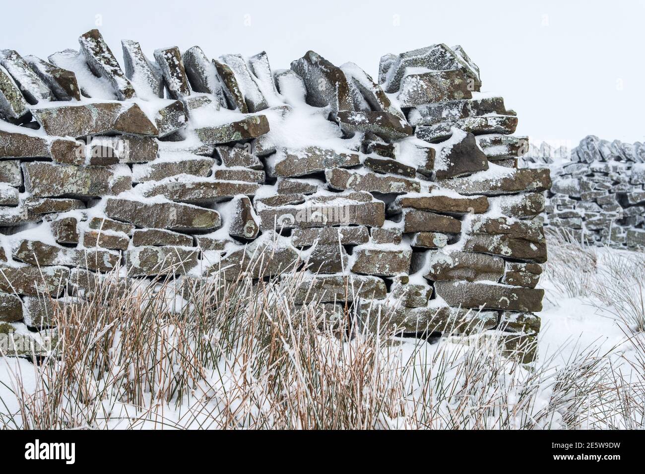 Schnee auf einer Moorlandschaft Trockensteinmauer, AX Edge, Derbyshire, Großbritannien Stockfoto