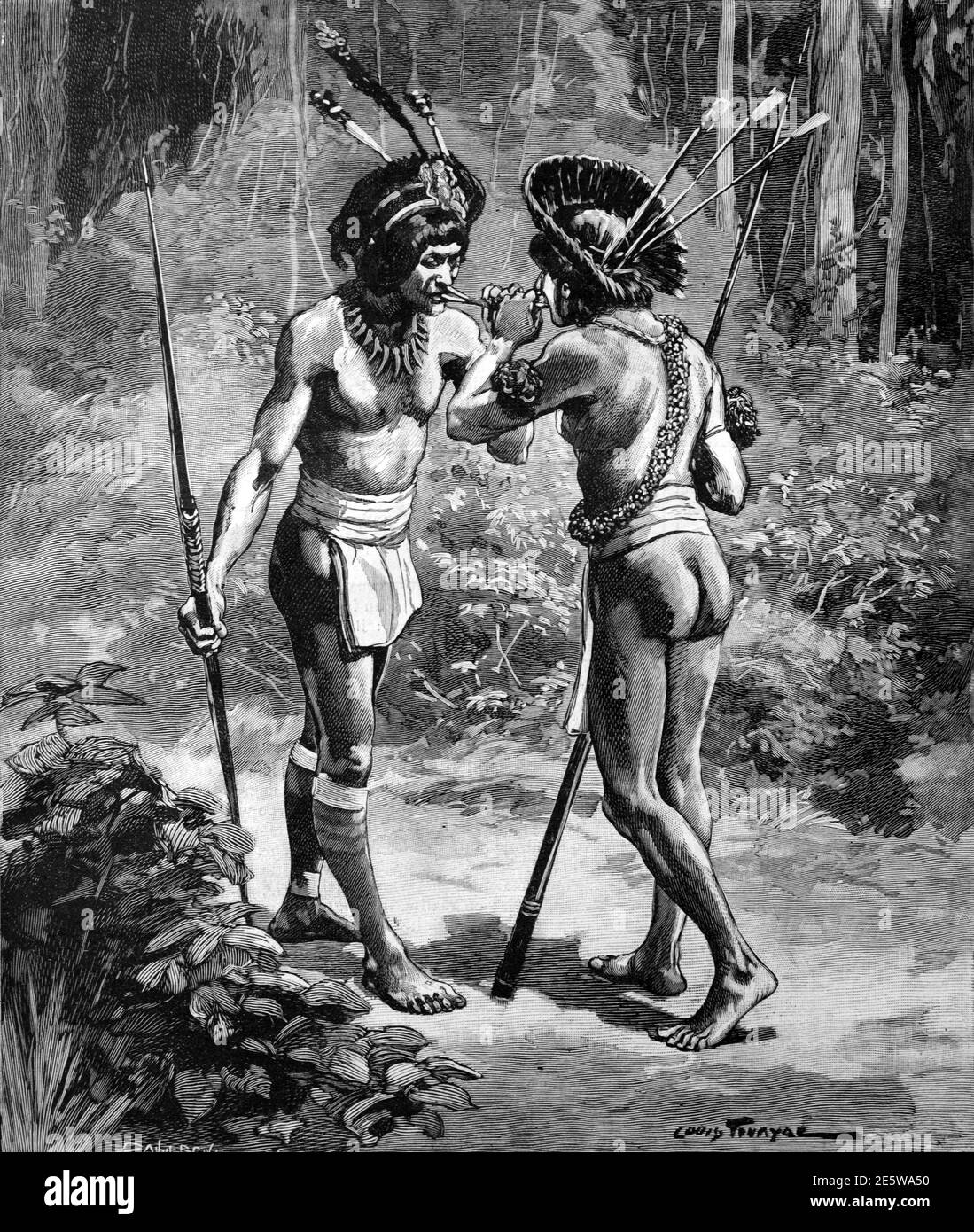 Yanomami Indianer teilen Ebene Drogen oder schnauben halluzinogen Yopo Snuff Aus dem Anadenanthera peregrina Baum im Amazonaswald von Venezuela Oder Brasilien 1903 Vintage Illustration oder Gravur Stockfoto