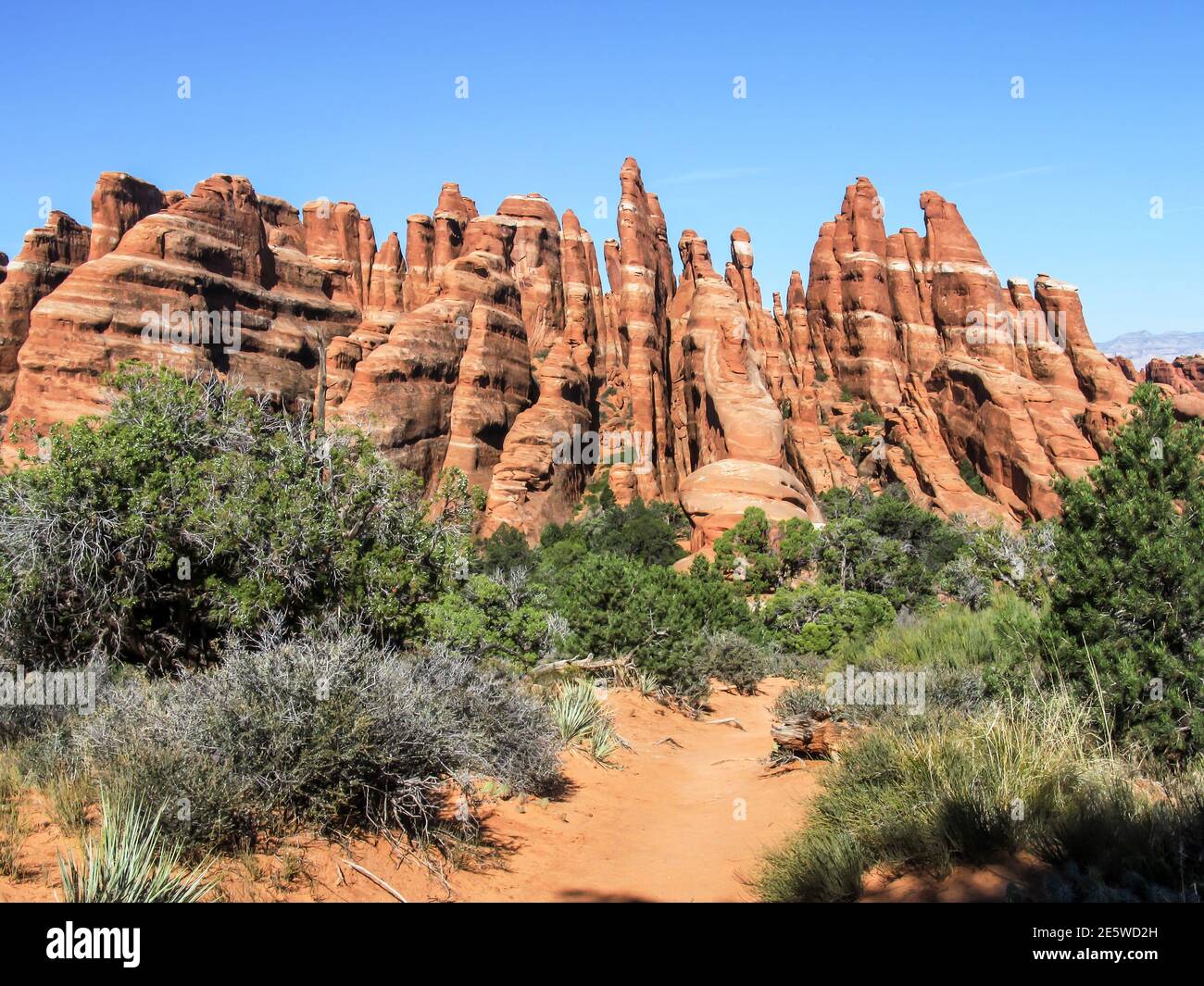 An einem sonnigen Tag im Teufelsgarten des Arches National Park, Utah, USA, finden Sie feine Sandsteinflossen und Turmspitzen Stockfoto