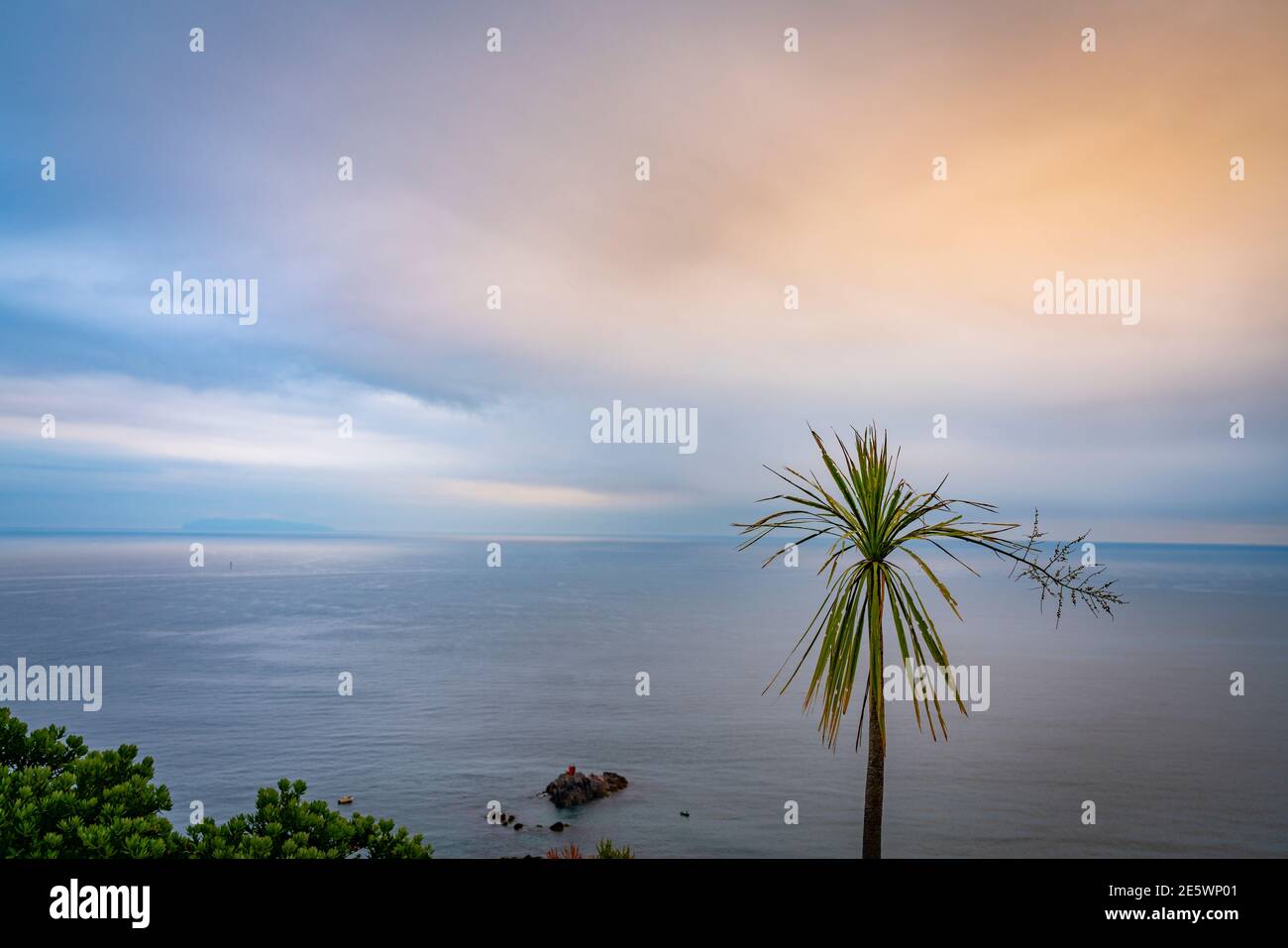 Meer und Horizont und Tatty Kohlbaum auf Mount Maunganui am bewölkten Morgen vor Sonnenaufgang. Stockfoto